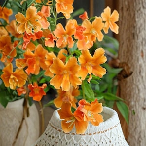 Könnte beinhalten: Nahaufnahme von leuchtend orangefarbenen Blüten mit fünf Blütenblättern, vor grünem Laub. Die Blüten stehen in voller Blüte, einige ruhen in einem weißen, offen gewebten Korb. Im Hintergrund ein Baumstamm, ein natürliches, florales Thema.