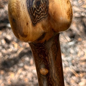 May include: A handcrafted wooden walking stick with a rounded top featuring a dark, swirling grain pattern. The shaft is a rich brown color with a lighter wood grain. A unique and functional item.