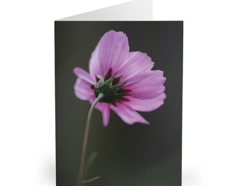 5 x A5 Cosmos No.17 Greeting Cards (5 Pack)
