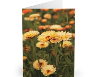 5 x A5 Calendula Greeting Cards (5 Pack)