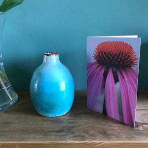 10 cartes de voeux A6 Echinacea (paquet de 10 avec enveloppes)