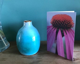 10 x A6 Echinacea Greetings Cards (pack of 10 with envelopes)