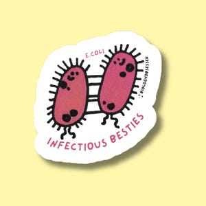 Pode incluir: Um autocolante com duas bactérias cor-de-rosa em estilo cartoon com manchas pretas e apêndices pontiagudos. O texto "E.COLI" está acima das bactérias, e "INFECTIOUS BESTIES" abaixo. O autocolante tem uma borda branca.