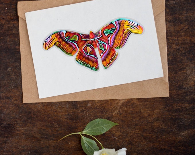 Large Moth Sticker in Bright Colors and Transparent Background