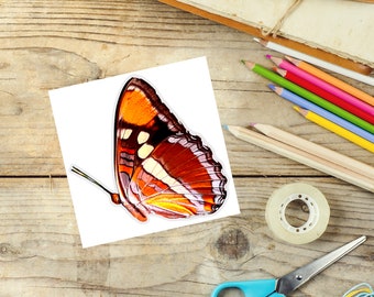 Orange and Brown Butterfly Sticker with Transparent Background, Large California Sister Butterfly Decal