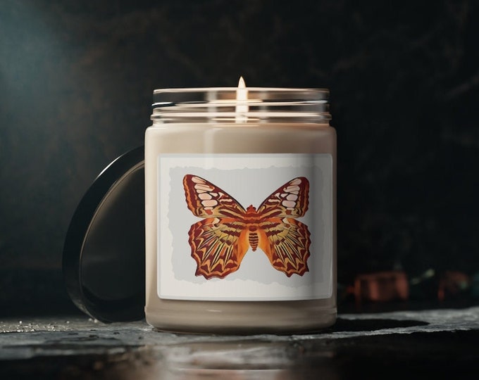 Butterfly Soy Candle in Soft Neutral Colors, Scented 9oz Candle in Reusable Jar