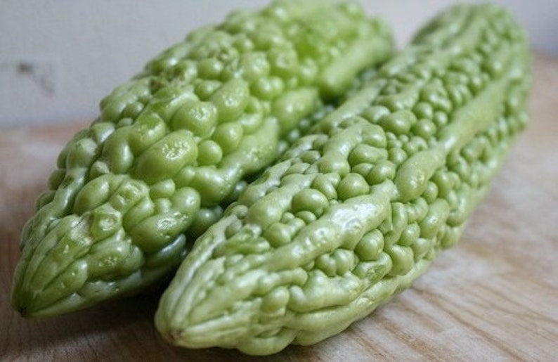 Organic Heirloom Chinese Bitter Gourd 50 seeds Bitter Melon Etsy