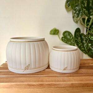 May include: Two white ceramic plant pots with a ribbed design and gold detailing. The pots feature a leaf motif and a gold band around the top and bottom. They are displayed on a wooden surface.