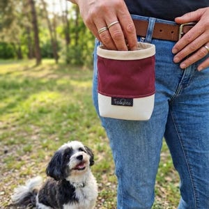 Könnte beinhalten: Eine Hundeleckerli-Tasche mit cremefarbenem Oberteil, burgunderfarbener Mitte und weißem Boden. Die Tasche ist am Gürtel einer Person befestigt. Ein kleiner schwarz-weißer Hund sitzt im Vordergrund und schaut nach oben.