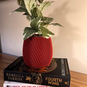 May include: A red, spiral-patterned planter holding a plant with green and white leaves, resting on top of two books. The books are titled "Fourth Wing" and "One of Us Is Lying". The planter is approximately 13 cm tall.