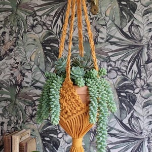 Mustard Yellow Macrame Plant Cradle - Boho Basket-Style Planter - Handmade Ocher Indoor Garden Decor - Sun-Kissed Hanging Pot Holder