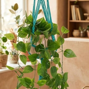 Könnte beinhalten: Ein tealfarbener Makramee-Pflanzenaufhänger mit einem weißen Topf, der mit grünen Blättern gefüllt ist. Die Ranken der Pflanze fallen nach unten. Der Pflanzenaufhänger hängt vor einem Fenster, mit einem Holztisch und Bücherregal im Hintergrund.