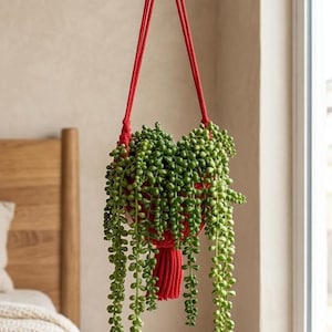 Op de afbeelding: Een rode macramé plantenbak met een hangende groene plant. De hanger hangt aan een zwarte metalen beugel die aan de muur is bevestigd. Een houten ring en een sterbedel zijn zichtbaar.