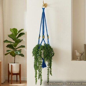 May include: A blue macrame plant hanger with a green plant. The hanger is suspended from a gold hook on a white wall. The plant has long, trailing stems and a blue tassel.