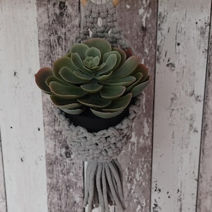 Könnte beinhalten: Ein grauer Makramee-Pflanzenaufhänger mit einem Holzring und einem schwarzen Riemen. Er hält eine grüne Sukkulente in einem schwarzen Topf. Der Hintergrund ist eine Holzwand.