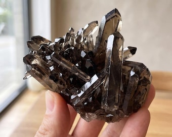 May include: A cluster of translucent smoky quartz crystals featuring sharp, pointed terminations and deep brown to grey coloration. The mineral specimen displays multiple naturally formed hexagonal prisms radiating from a central base structure.
