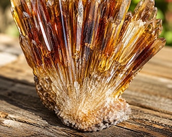 May include: A cluster of amber-colored quartz crystals featuring sharp, pointed tips and golden transparency. The base of the mineral specimen displays a raw, textured surface. Text on the image reads: CLOSE-UP NATURAL DETAIL, Sharp Points, Raw Texture, Golden Transparency.