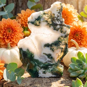 May include: A translucent white moss agate stone with deep green dendritic inclusions. The stone has an irregular, jagged shape and is positioned upright, displaying natural mineral patterns and light-catching crystalline textures throughout.