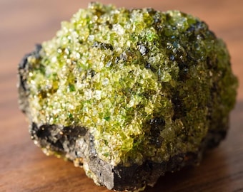 May include: A raw mineral specimen featuring a cluster of small, translucent, lime-green crystals embedded in a dark, porous, charcoal-colored volcanic rock base. The crystalline surface displays a textured, granular appearance with varying shades of green.