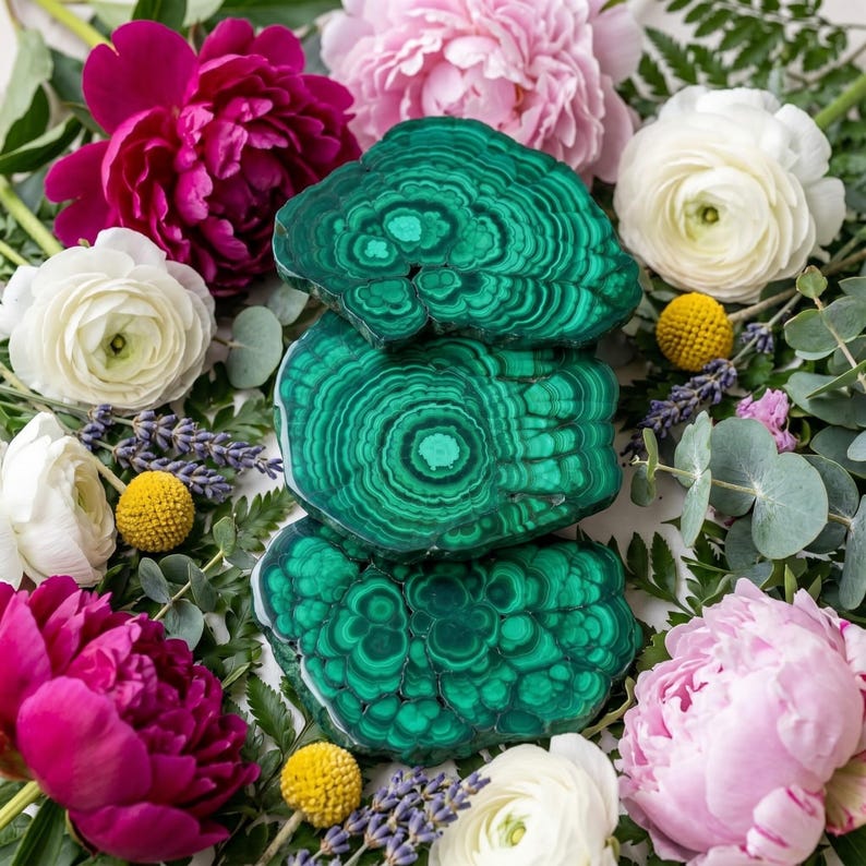 May include: Three polished malachite slices stacked vertically, each displaying distinct concentric rings of deep forest green and lighter emerald green banding, surrounded by a vibrant arrangement of pink peonies, white ranunculus, and lavender.