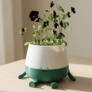 Könnte beinhalten: Ein skurriler, zweifarbiger Blumentopf mit einem weißen Oberteil und einem grünen Sockel, der mit kleinen Beinen versehen ist. Der Topf ist mit üppigem grünen Laub und dunkelvioletten Blüten gefüllt und schafft einen fröhlichen, dekorativen Akzent.