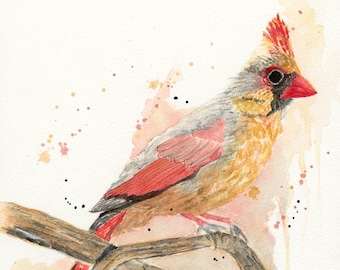 Female Cardinal Watercolor Painting, Fine Art, Bird Lover Gift