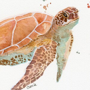 Sea Turtle Watercolor, FineArt, Print, Giclee image 2