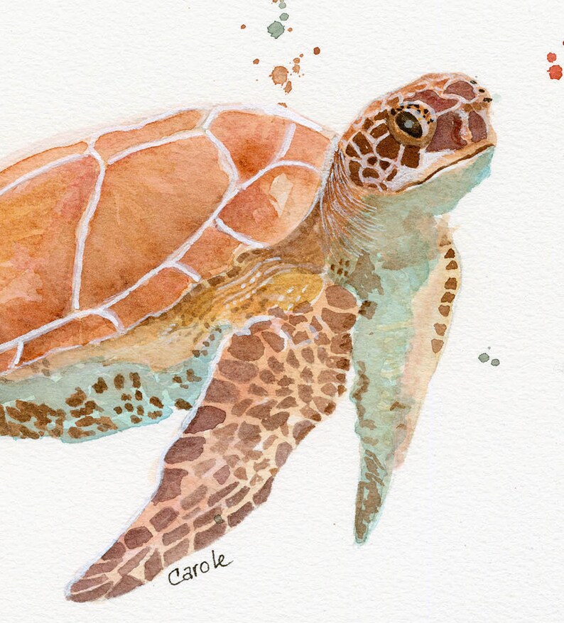 Sea Turtle Watercolor, FineArt, Print, Giclee image 2