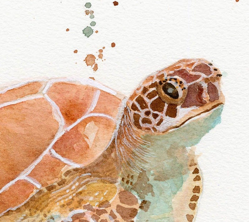 Sea Turtle Watercolor, FineArt, Print, Giclee image 3