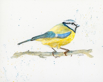 Tufted Blue Tit Watercolor,Fine Art Print, Giclee