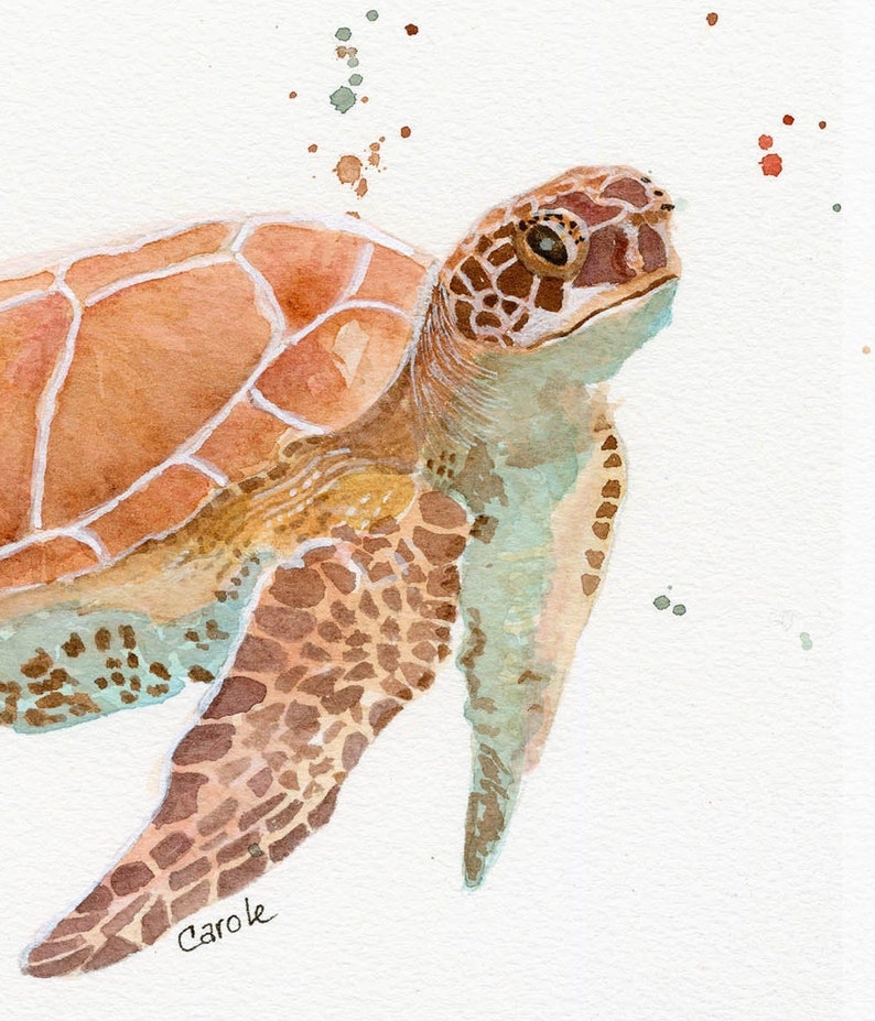 Sea Turtle Watercolor, FineArt, Print, Giclee image 7