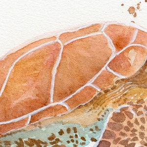 Sea Turtle Watercolor, FineArt, Print, Giclee image 6