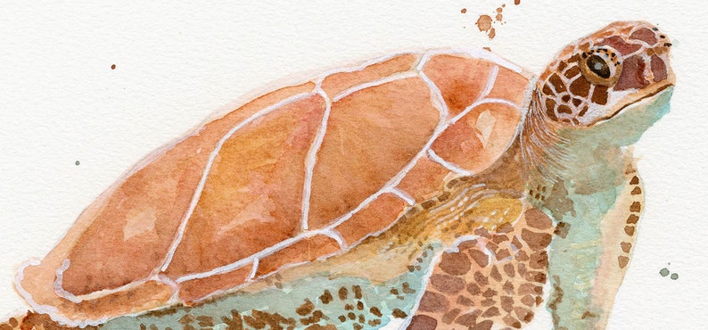 Sea Turtle Watercolor, FineArt, Print, Giclee image 6