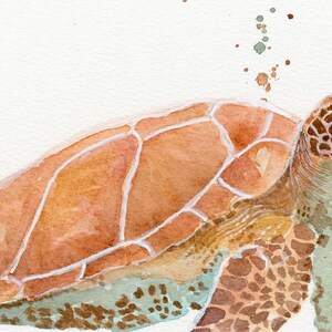 Sea Turtle Watercolor, FineArt, Print, Giclee image 4