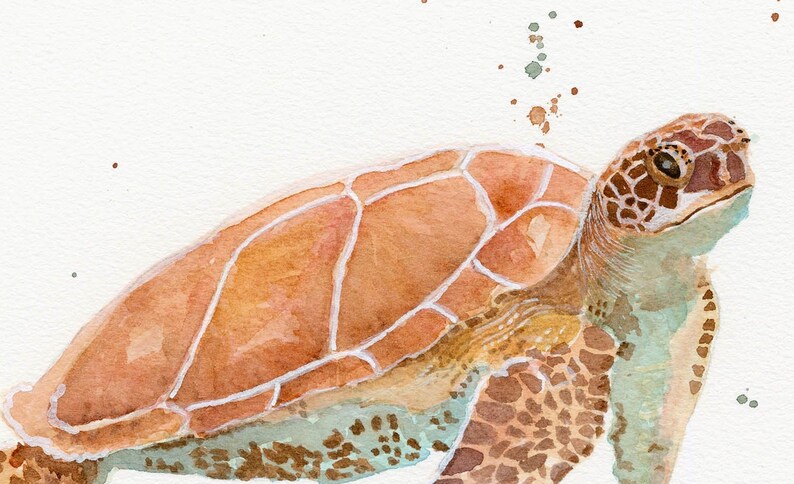 Sea Turtle Watercolor, FineArt, Print, Giclee image 4