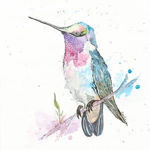 Watercolor Hummingbird Painting, Fine Art, Colorful Bird Art,