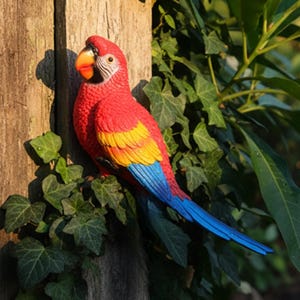 May include: A vibrant red, yellow, and blue parrot statue perched on a wooden fence. The parrot has a bright orange beak and is surrounded by green ivy. A decorative garden ornament.