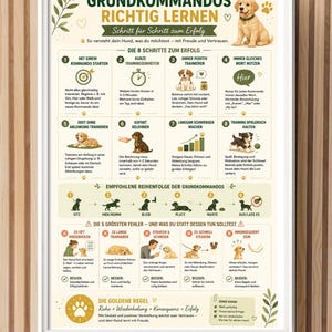 Basiscommando's: De juiste manier leren - Poster A3 | Hondentrainingsoefeningen en trainingsplan | Printbare infographic | Direct downloaden