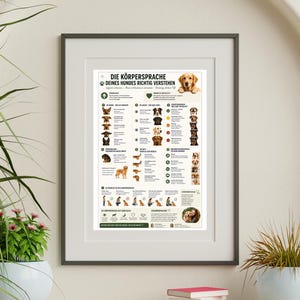 Könnte beinhalten: Gerahmtes Poster mit dem deutschen Text "DIE KÖRPERSPRACHE DEINES HUNDES RICHTIG VERSTEHEN" (Verstehe die Körpersprache deines Hundes richtig). Es zeigt Illustrationen verschiedener Hunderassen und deren Körpersprache.