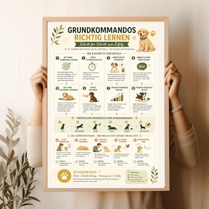 Op de afbeelding: Een ingelijste educatieve poster getiteld GRUNDKOMMANDOS RICHTIG LERNEN met acht stappen voor hondentraining, illustraties van puppy's, een reeks commando-iconen en een sectie met veelgemaakte fouten, volledig voorzien van Duitse tekst.