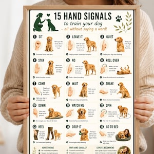 Könnte beinhalten: Ein gerahmtes Lehrplakat mit dem Titel 15 HAND SIGNALS to train your dog, das nummerierte Abbildungen von Handzeichen und Golden Retrievern zeigt, die Befehle wie Sitz, Bleib, Komm und Fuß mit begleitendem Text demonstrieren.