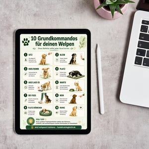 Op de afbeelding: Een digitale tablet met een educatieve infographic getiteld 10 Grundkommandos für deinen Welpen. De kaart bevat tien genummerde secties met illustraties van puppy's en Duitse tekst die basiscommando's voor hondentraining uitlegt.