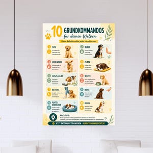 Op de afbeelding: Een rechthoekige educatieve poster met de titel 10 GRUNDKOMMANDOS für deinen Welpen, met tien genummerde secties met illustraties van puppy's die basiscommando's demonstreren, zoals zitten, blijven, liggen, hier komen en volgen.