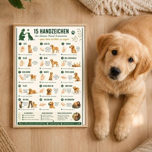 Dog Training Hand Signals - Etsy