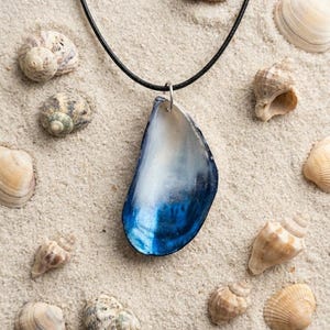 May include: A necklace featuring a single mussel shell pendant with a gradient blue and white interior, suspended from a thin black cord. The shell is smooth and curved, showcasing a deep blue base that fades into a bright white upper section.