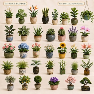 May include: A 35-piece bundle of STL digital download files featuring various potted plants, including succulents, cacti, flowering plants, and small trees in diverse decorative containers, arranged in rows against a neutral background.