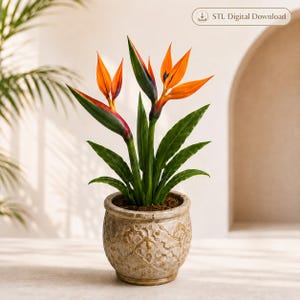 Op de afbeelding: Een Strelitzia reginae plant, bekend als paradijsvogelbloem, met levendige oranje en diepblauwe bloemblaadjes en lange groene bladeren. De plant staat in een ronde, getextureerde, beige keramische pot met een subtiel reliëfpatroon.