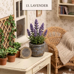 May include: A miniature potted lavender plant with purple flowers and green leaves sits on a white table. The pot is a mottled grey-blue. A one Euro coin is next to the pot. The text "13. LAVENDER" is above the plant.