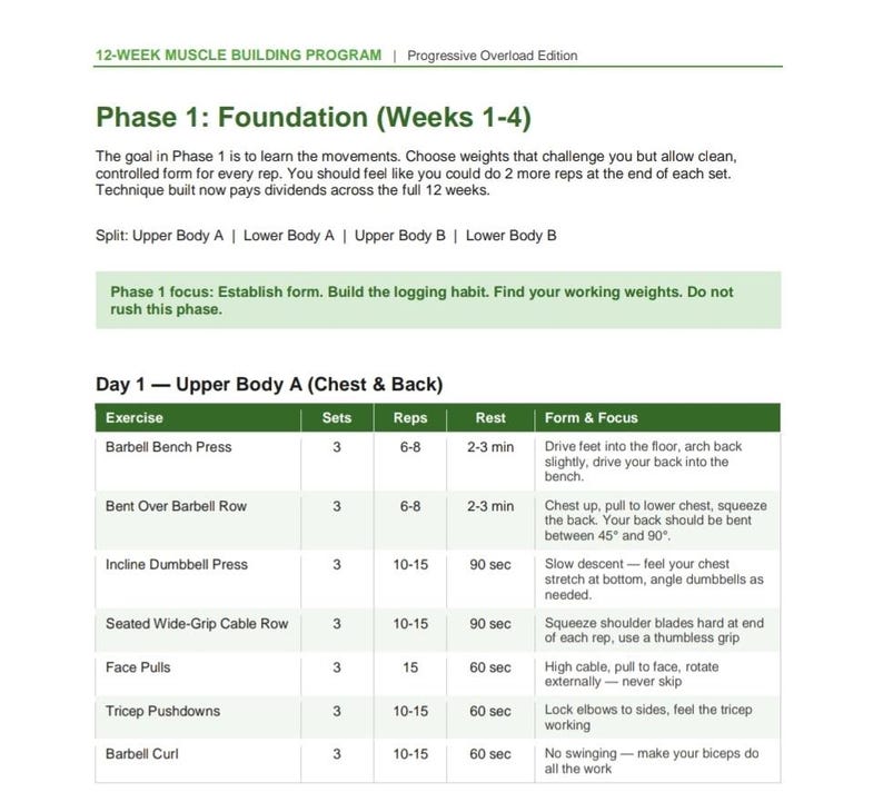 12 Week Transformation Program | Beginner to Intermediate Gym Plan ...