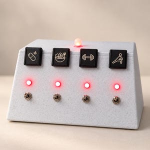Op de afbeelding: Een lichtgrijze, trapeziumvormige bedieningsconsole met vier zwarte vierkante knoppen met witte iconen van een pil, een kom eten, een halter en een persoon die rekt, voorzien van metalen tuimelschakelaars en oplichtende rode ledlampjes.